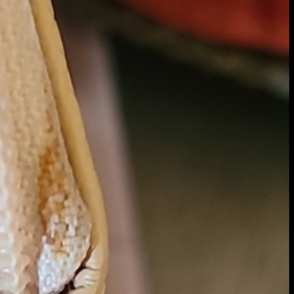 💝💥Authentic Chanel Caviar Agenda Large zip around wallet🎀❤️‍🔥 - Picture 16 of 16